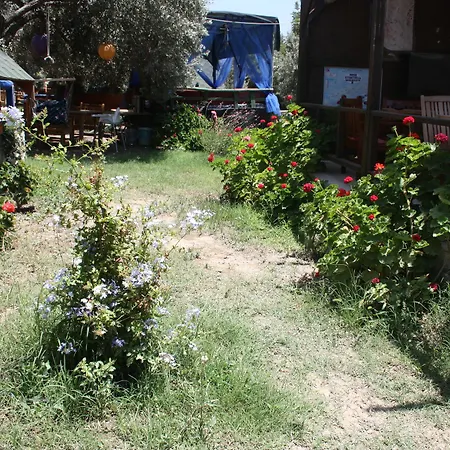 Datcanka Ahsap & Kutuk Evler Pensjonat