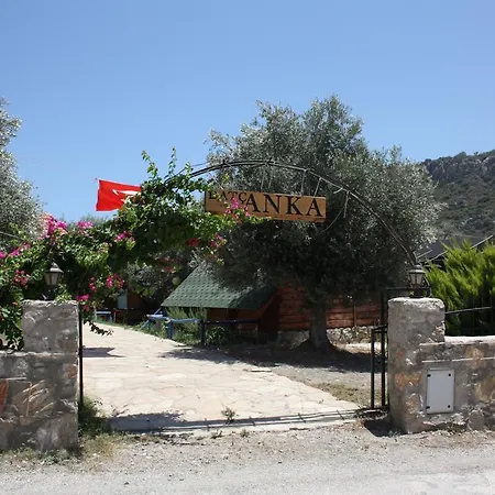 Datcanka Ahsap & Kutuk Evler Mesudiye