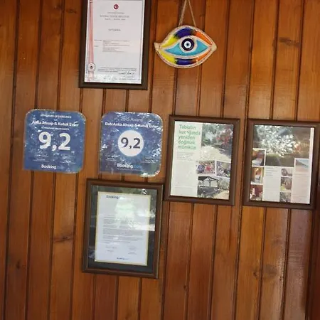 Datcanka Ahsap & Kutuk Evler