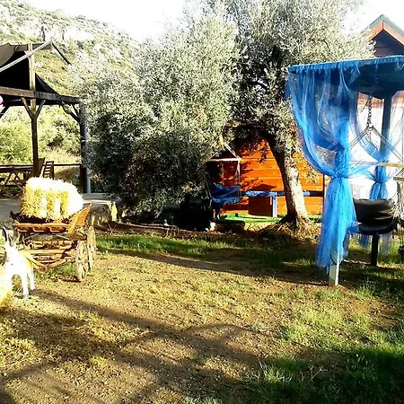 Datcanka Ahsap & Kutuk Evler