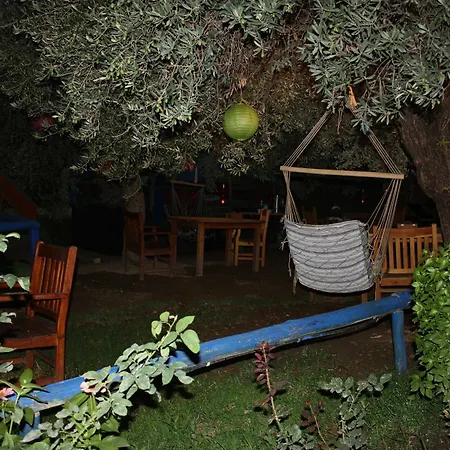 Datcanka Ahsap & Kutuk Evler Affittacamere